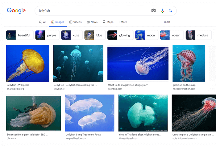 A Google Képek címkéket jelenít meg, amely a legközelebbi eszköz az LSI kulcsszavak megtalálásához